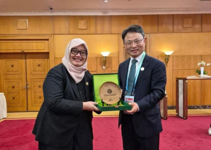 Kebakaran Hutan Terburuk Jadi Titik Balik, Korea Selatan Gandeng Indonesia