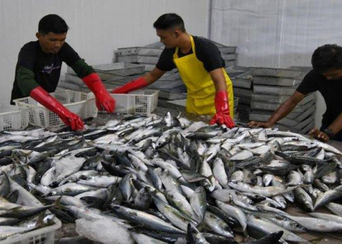 Kabupaten Malang Rencanakan Bangun Pabrik Es Batu