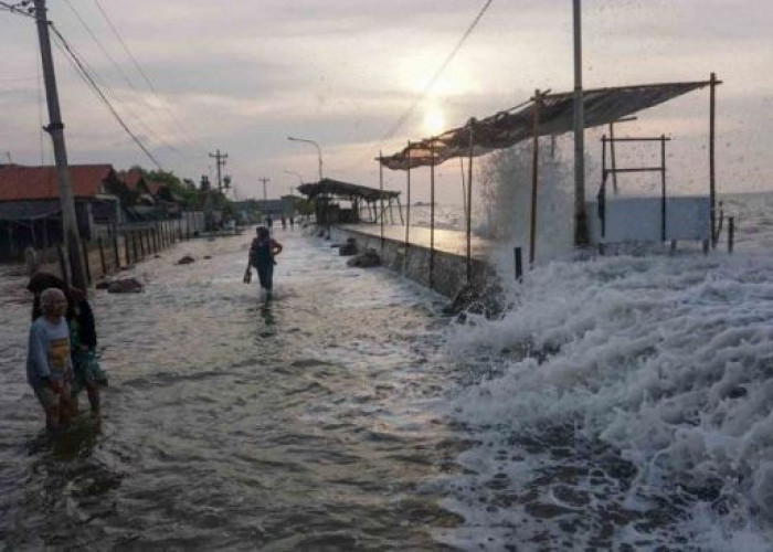 Banjir Rob Mengintai, Warga Pesisir Surabaya Diminta Siaga Hingga Akhir September