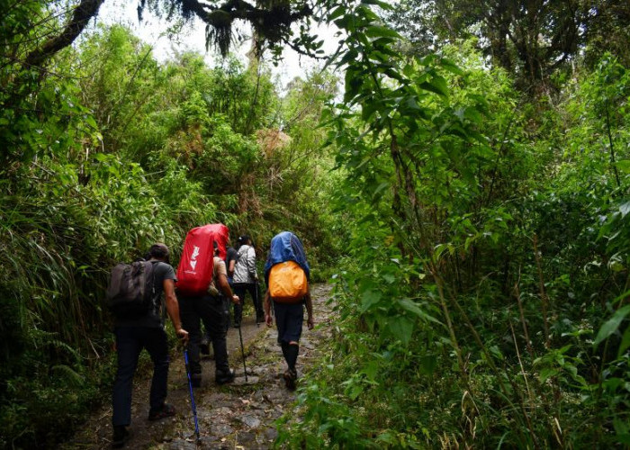 Gunung Lawu Masih Diwaspadai, Jalur Pendakian Ditutup Meski Api di Magetan Padam