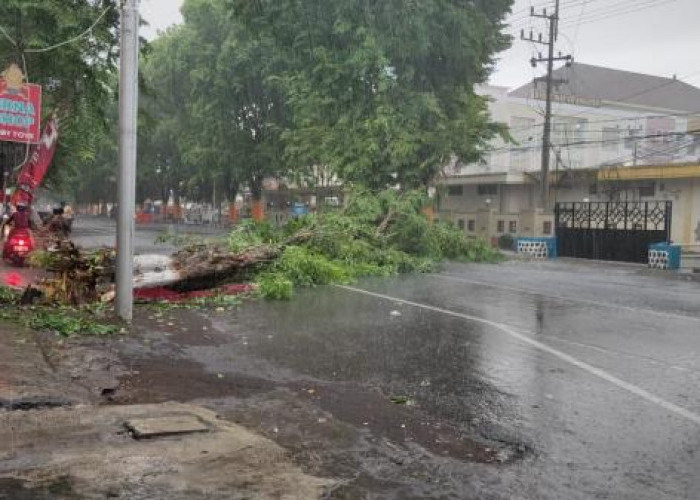 Cuaca Ekstrem dan Hujan Angin Masih Mengintai Jawa Timur