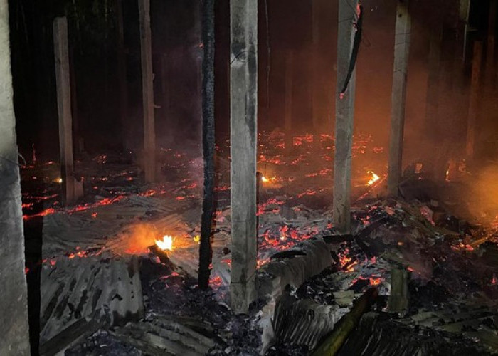 Riga Ribu Ayam Mati Akibat Kandang Terbakar di Blitar