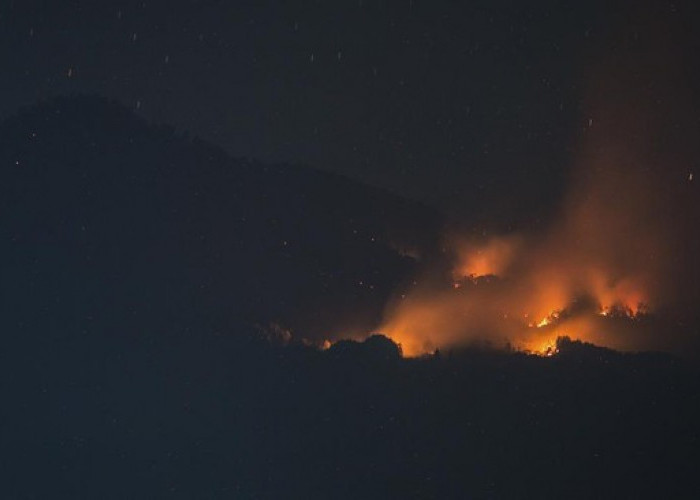 Helikopter Tertahan Awan Rendah, Tim Darat Berpacu Cegah Api Meluas di Arjuno-Welirang