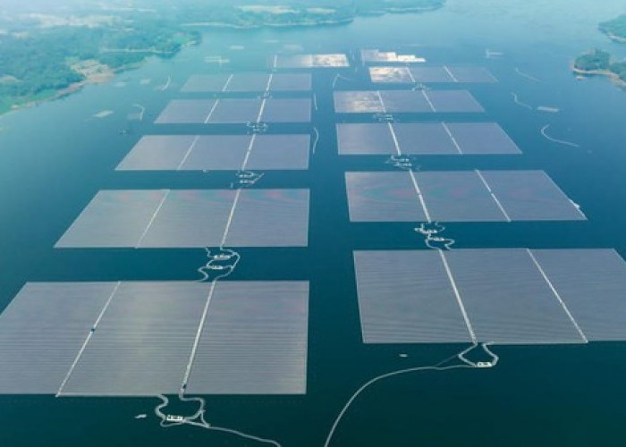 Target PLTS 100 GW Jadi Arah Baru Energi Nasional, Revisi RUEN Dikebut Rampung September