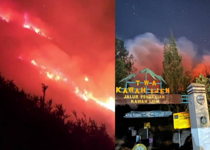 Karhutla Ijen Capai 20 Hektare, Pemadaman Dikepung Angin Kencang dan Kabut Tebal