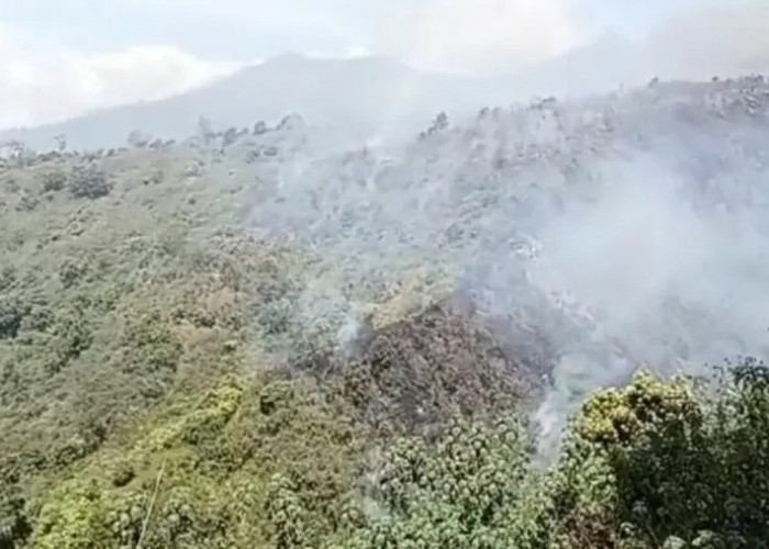 Karhutla Kembali Muncul di Lereng Bromo, Titik Api Sulit Dijangkau Petugas