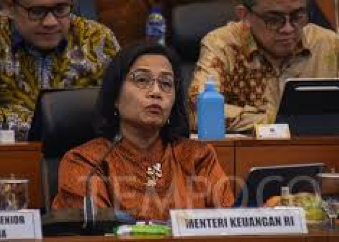 Mentri Keuangan Ungkap  Akan Evaluasi Kebocoran Data NPWP