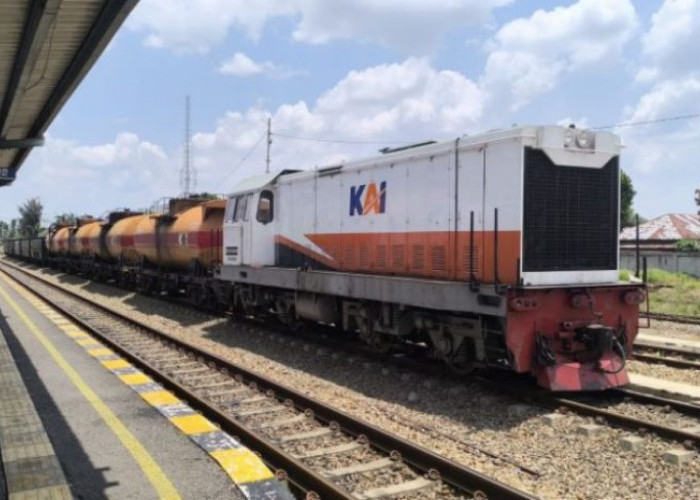 Dilirik Rusia dan China, Trans Kalimantan Belum Punya Trase dan Nilai Investasi