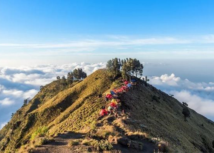 Jalur Rawan Gunung Rinjani akan Segera Diperbaiki