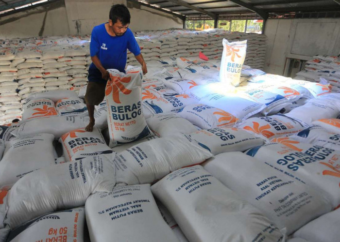 Bulog Perkuat Pasokan Beras Premium di Jatim, Ribuan Ton Siap Masuk Ritel