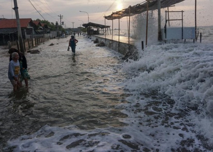 BMKG Peringatkan Bahaya Laut Jatim, Gelombang Tinggi hingga Rob