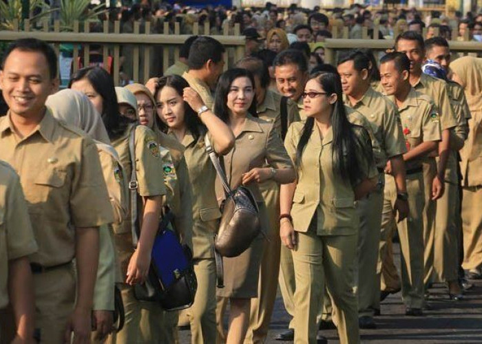 Mendagri Ingatkan Pemerintah Daerah Hentikan Rekrutmen Pegawai Honorer