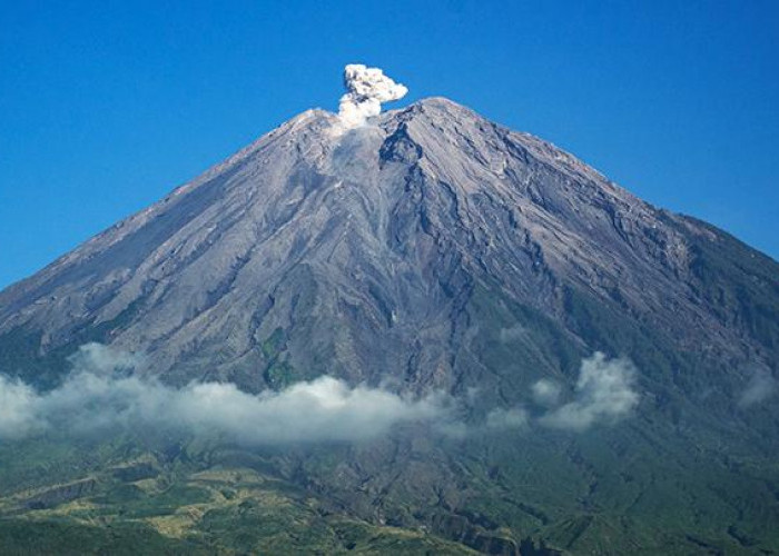Gunung Semeru Kembali Letuskan Abu Vulkanik hingga Ratusan Meter
