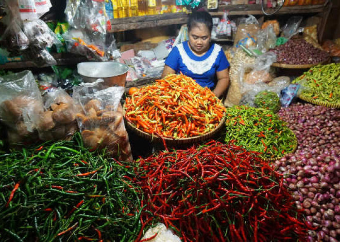Pemkot Malang Libatkan Pedagang Dalam Strategi Tekan Harga Cabai dan Kendalikan Inflasi