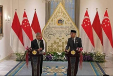 Tak Cukup Padamkan Api, Indonesia-Singapura Bentuk Satgas Penyelidikan Karhutla