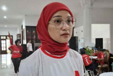 DPRD Dorong Integrasi Angkot–Trans Jatim, Permukiman Jadi Target Utama