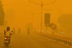 Udara Palangkaraya Memburuk, Menkes Ingatkan Risiko Polutan PM2.5