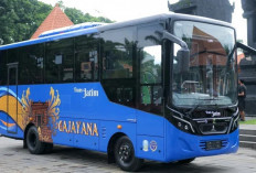 Koridor Baru Trans Jatim di Malang Raya Dipercepat, Target Operasional Sebelum HUT Pemprov Jatim