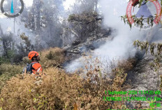 Karhutla Gunung Buthak Padam, Petugas Sisir Bara dan Evakuasi Pendaki