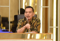 DPR RI Desak Karhutla Kalimantan Naik Status Jadi Bencana Nasional