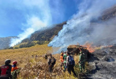 Tiga Titik Api Tersisa di Bromo, Tim Pemadam Berpacu dengan Angin dan Tebing Curam