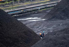 Pasok 43 Persen Batu Bara Dunia, Indonesia Masih Hadapi Masalah Kendali Harga