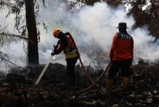 Bantuan Presiden Rp240 Miliar Mengalir, Bupati Diminta Tak Salah Langkah