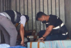 Nyaris Lolos ke Timor Leste, Puluhan Bal Rokok Ilegal Digagalkan Bea Cukai Madura