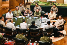Udara Memburuk, Karhutla Naik Jadi Agenda Strategis Nasional