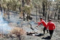 Aktivitas Manusia Diduga Picu Karhutla Arjuno-Welirang, Satu Titik Api Masih Diburu