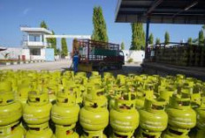 Menteri ESDM Usulkan Kompor Listrik untuk Kurangi Ketergantungan LPG