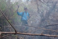Karhutla Meluas di Pegunungan Jatim, Semeru Jadi Titik Terparah