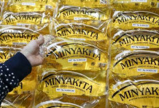 Pasokan Minyakita Bergantung pada Ekspor Sawit, Kemendag Ungkap Alasan Stok Bisa Berubah
