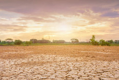 Indonesia Masuk El Nino Kuat, Pemerintah Fokus Selamatkan Cadangan Air