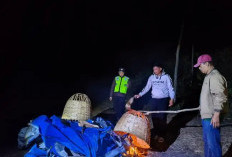 Arena Sabung Ayam di Tengah Kebun Dibakar Polisi, Berawal dari Laporan Warga