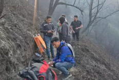 Korban Tewas Karhutla Bromo Bertambah, Polisi Selidiki Penyebab Insiden