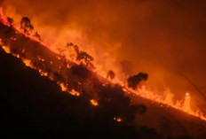 Gunung Arjuno Kembali Terbakar, Medan Terjal Hambat Pemadaman
