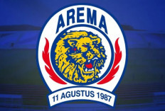 Logo Lama Arema FC Didaftarkan Pihak Lain di DJKI