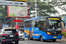 Trans Jatim Didorong Masuk Jombang, Angkutan Lokal Diminta Tak Tersisih