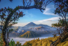 Bukan Soal Jalur, Wisatawan Kini Lebih Banyak Masuk Bromo Lewat Malang karena Faktor Akomodasi