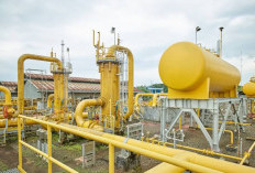 Indonesia Pangkas Pasokan Gas, Singapura Siapkan Jurus Darurat