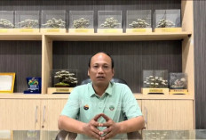 Nekat Masuk Semeru secara Ilegal, Delapan Pendaki Kena Blacklist Nasional