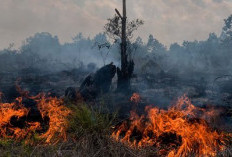 Kemarau Belum Memuncak, Klaten Sudah Dihantam Dua Ancaman Sekaligus