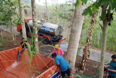 19 Desa di Kabupaten Malang Terancam Krisis Air, Distribusi Tunggu Pengajuan Resmi