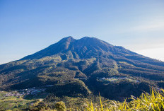 Petugas siaga hadapi lonjakan aktivitas 1 Suro di Gunung Lawu