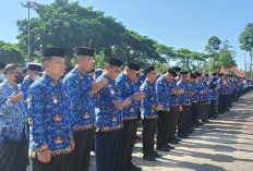 Seleksi PNS Guru 2027, DPR Dorong Wilayah 3T Masuk Jalur Prioritas
