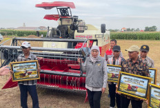 Pemprov Jatim Dorong Mekanisme Panen Cepat dengan Alsintan