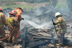 Mesin Pemanas Overheat, Peternakan Ayam di Batu Hangus