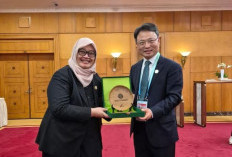 Kebakaran Hutan Terburuk Jadi Titik Balik, Korea Selatan Gandeng Indonesia