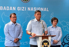 BGN Pastikan MBG Tak Ganggu Pasokan Beras, Bulog Jadi Opsi Cadangan
